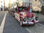 Train touristique dotto 1