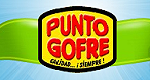 Punto Gofre