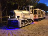 MINI TREN