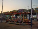 FERIA DE LA LINEA DE LA CONCEPCION 2015