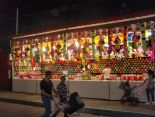 FERIA DE LA LINEA DE LA CONCEPCION 2015