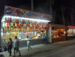 FERIA DE LA LINEA DE LA CONCEPCION 2015