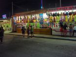FERIA DE LA LINEA DE LA CONCEPCION 2015