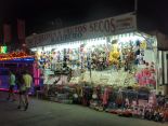 FERIA DE LA LINEA DE LA CONCEPCION 2015