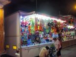 FERIA DE LA LINEA DE LA CONCEPCION 2015