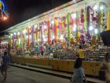 FERIA DE LA LINEA DE LA CONCEPCION 2015